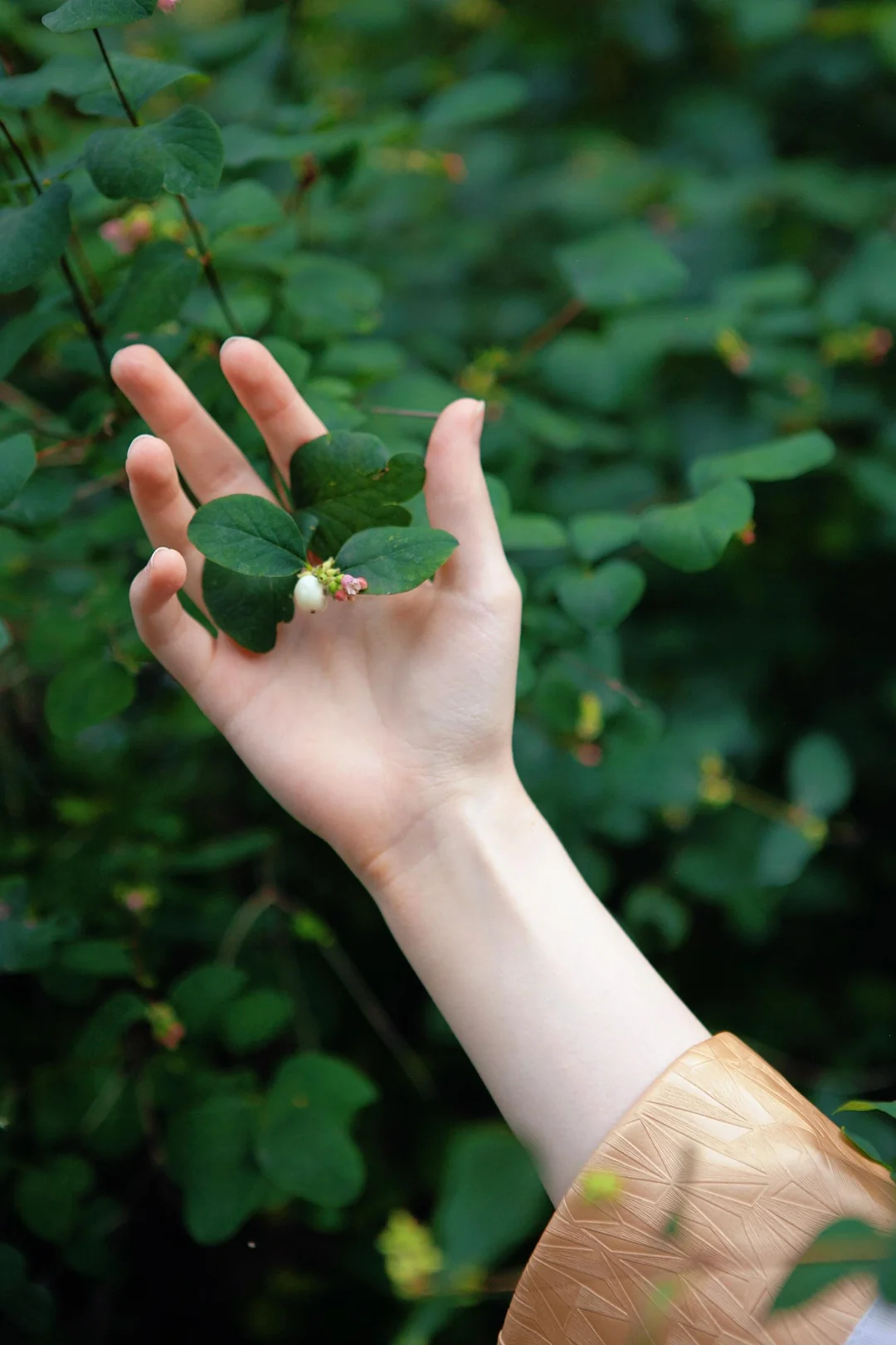  Frieren cosplay por vlenvv