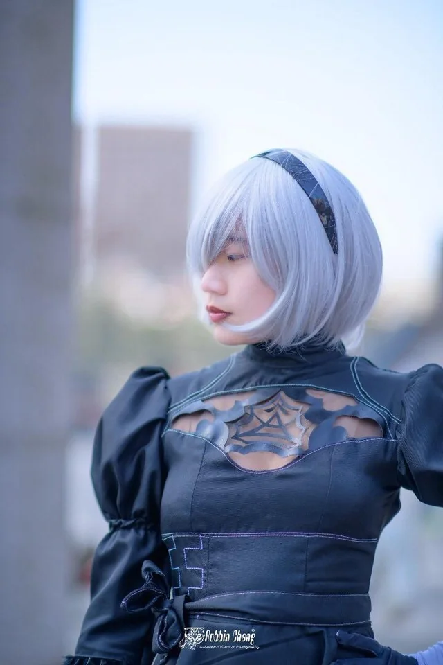 Nier Automata 2B